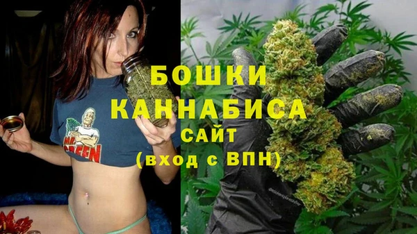 стаф Нефтегорск