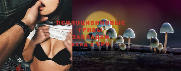 стаф Нефтегорск