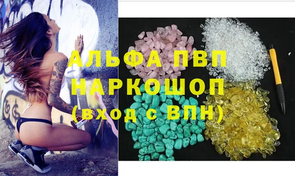 стаф Нефтегорск