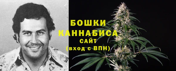 Альфа ПВП Кизел